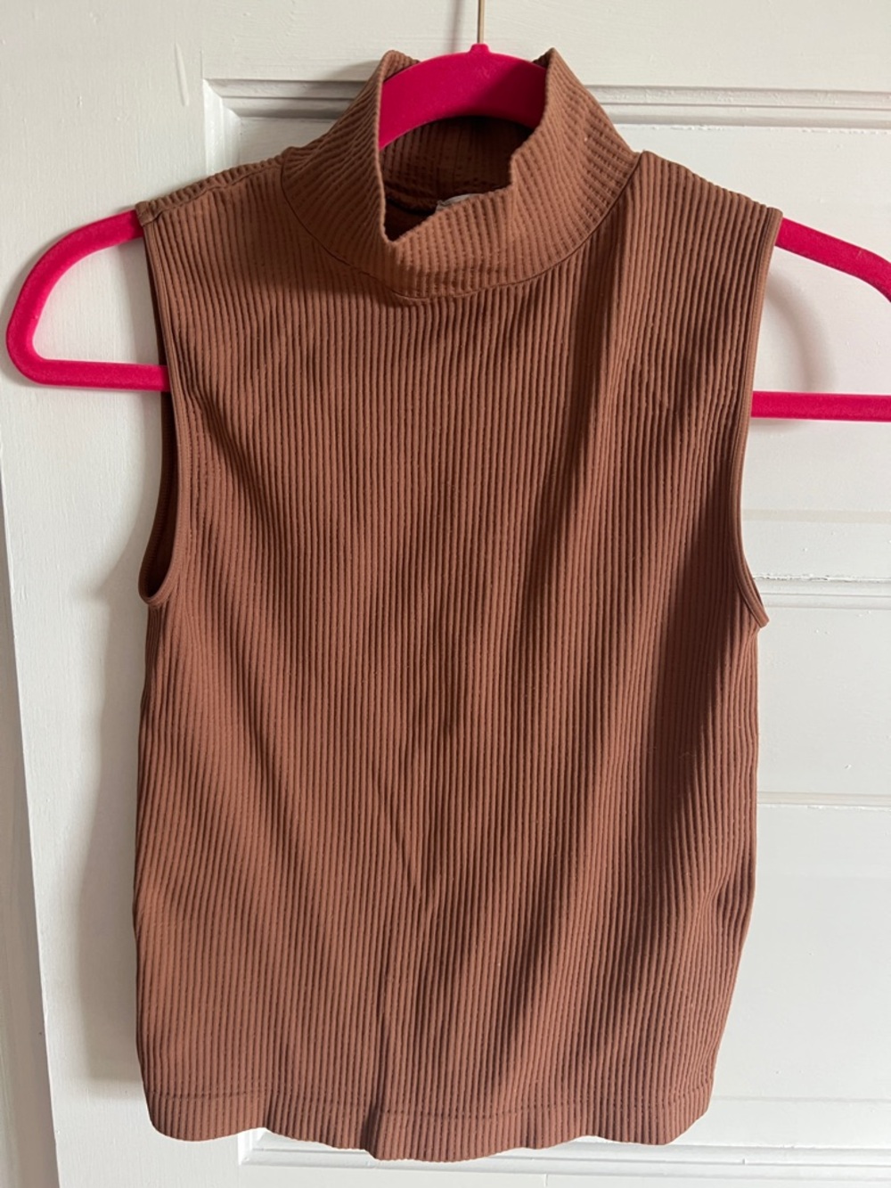 Nikibiki Ribbed Mock Neck Crop Top in Brown
